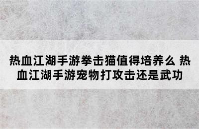 热血江湖手游拳击猫值得培养么 热血江湖手游宠物打攻击还是武功